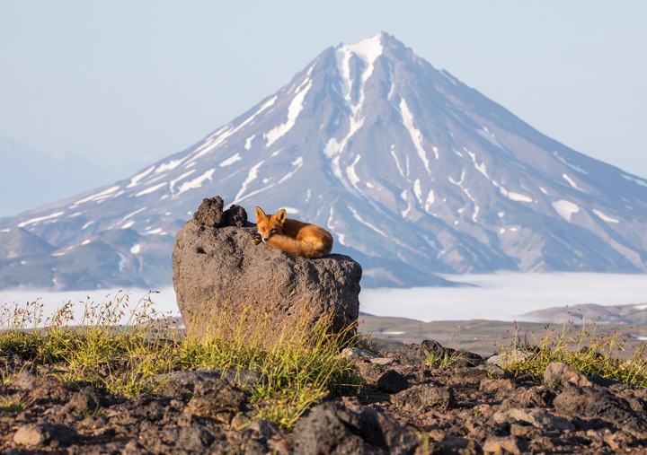 Корякский вулкан на Камчатке